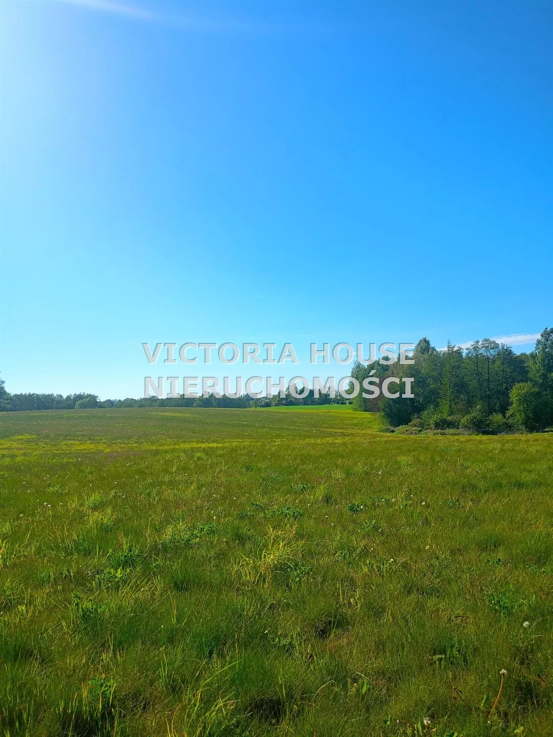 Działka 65 193,00 m², oferta nr , VIC-GS-1069, Banie Mazurskie