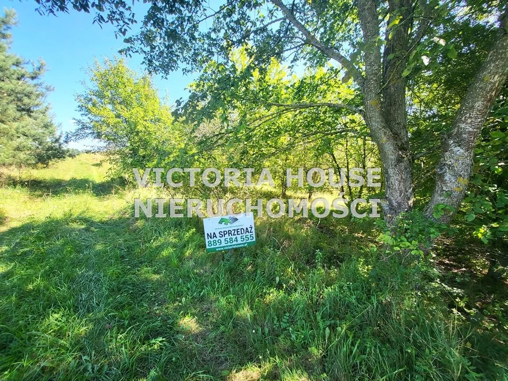 VIC-GS-1078 - zdjęcie nr 0
