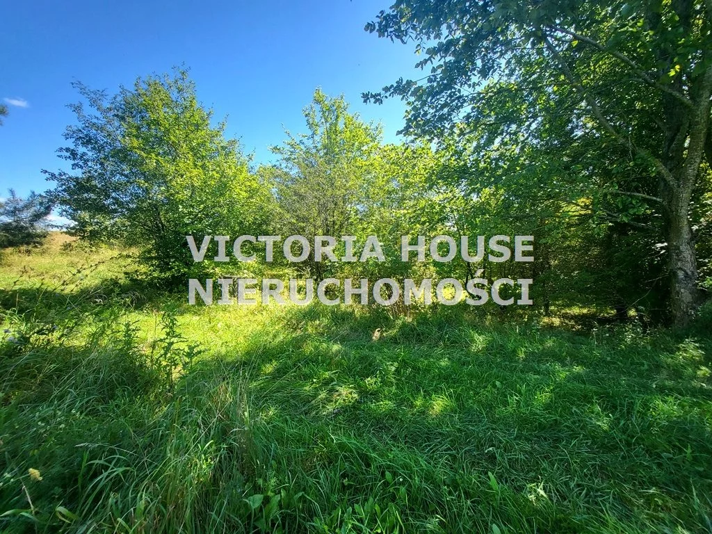VIC-GS-1078 - zdjęcie nr 1