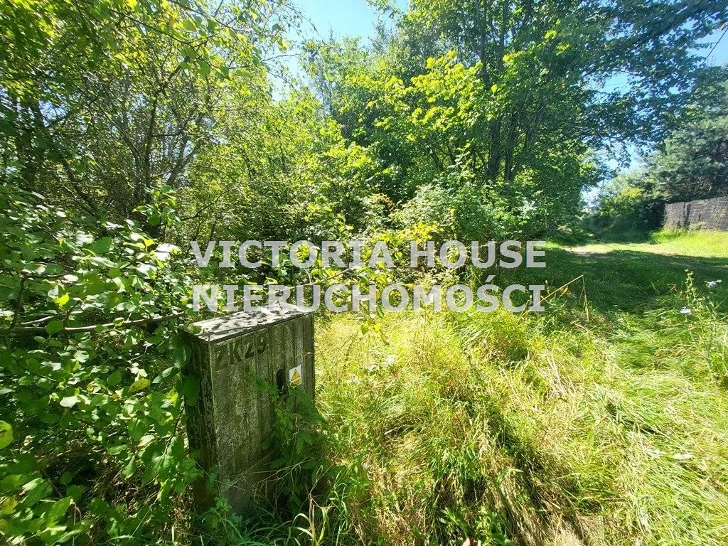 VIC-GS-1078 - zdjęcie nr 3