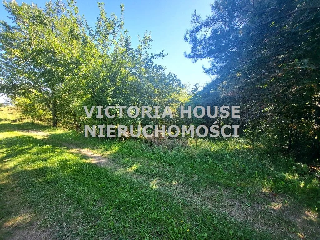 VIC-GS-1078 - zdjęcie nr 4