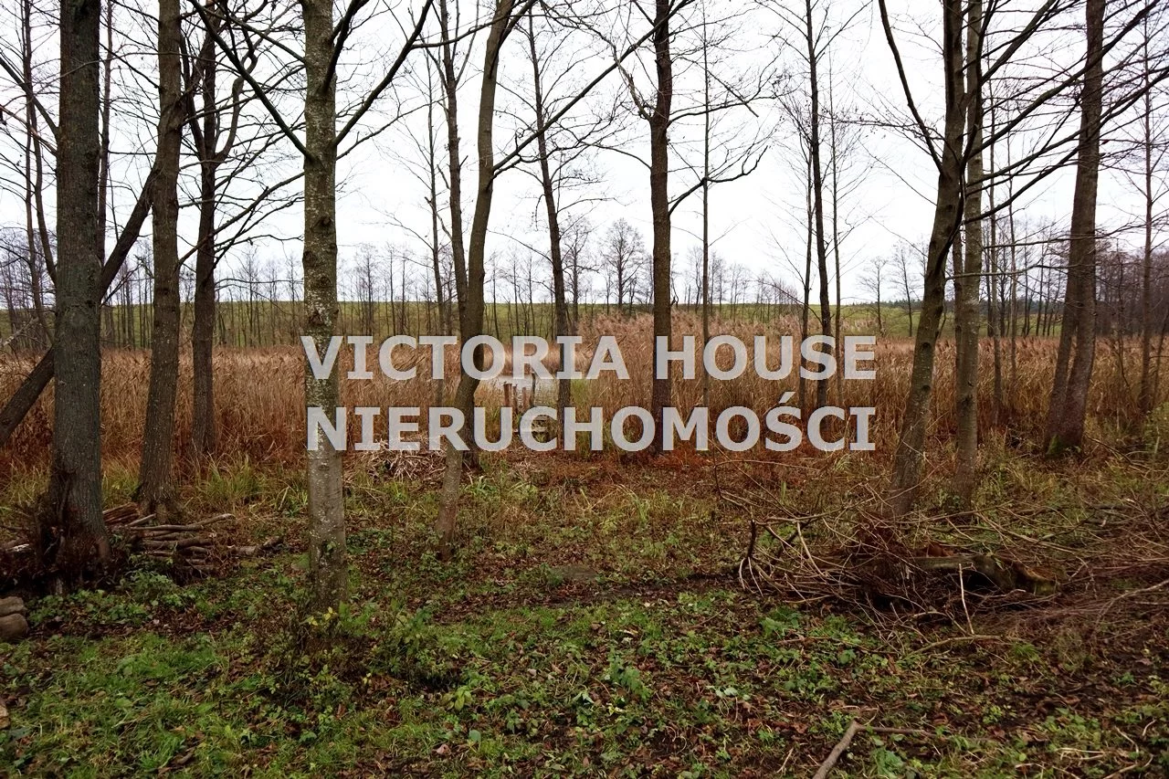 Działka 2 100,00 m², oferta nr , VIC-GS-900, Stare Juchy