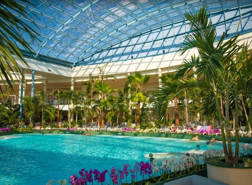 Działka 29 002,00 m², oferta nr , 163/14727/OGS, Aleksandria