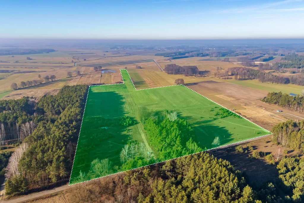 Działka 101 600,00 m², Borki, Sprzedaż