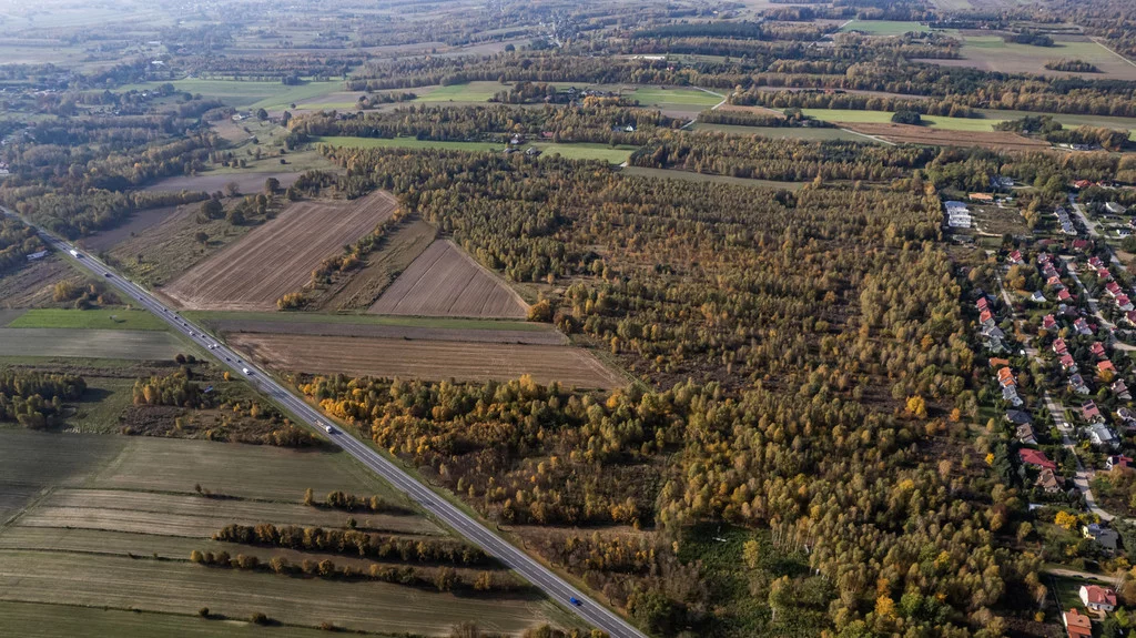 Działka 251 053,00 m², Dobra-Nowiny, Sprzedaż