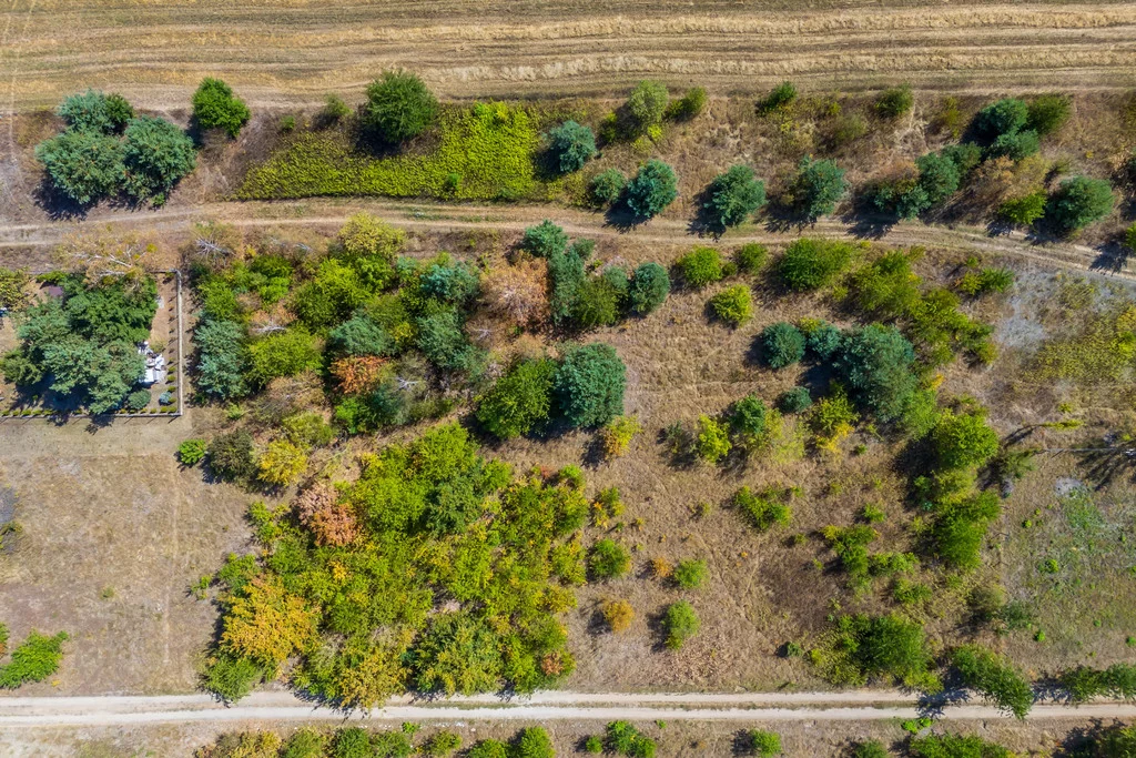 Działka 1 342,00 m², oferta nr , 196/14727/OGS, Kiełpin, Jesionowa
