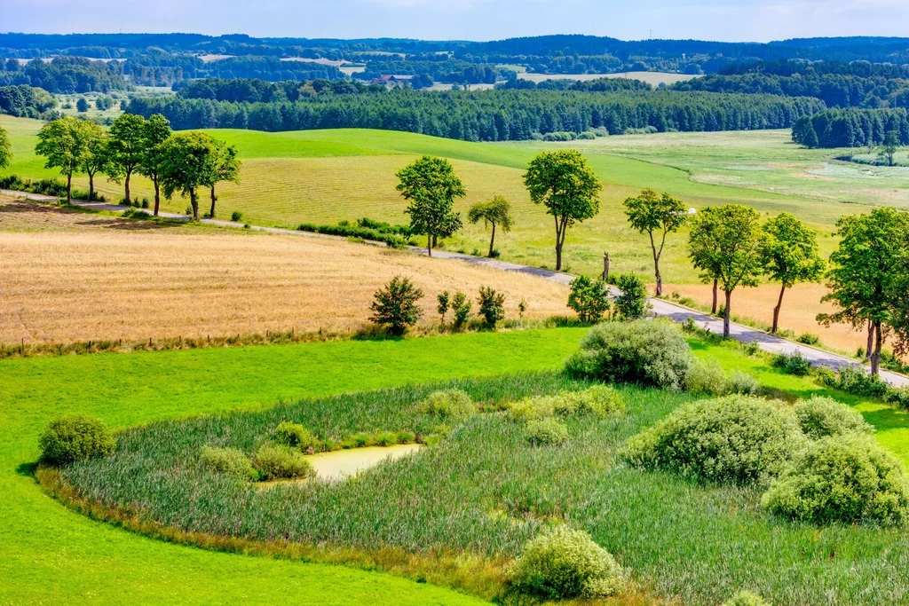 Działka 27 177,00 m², oferta nr , 192/14727/OGS, Mostkowo