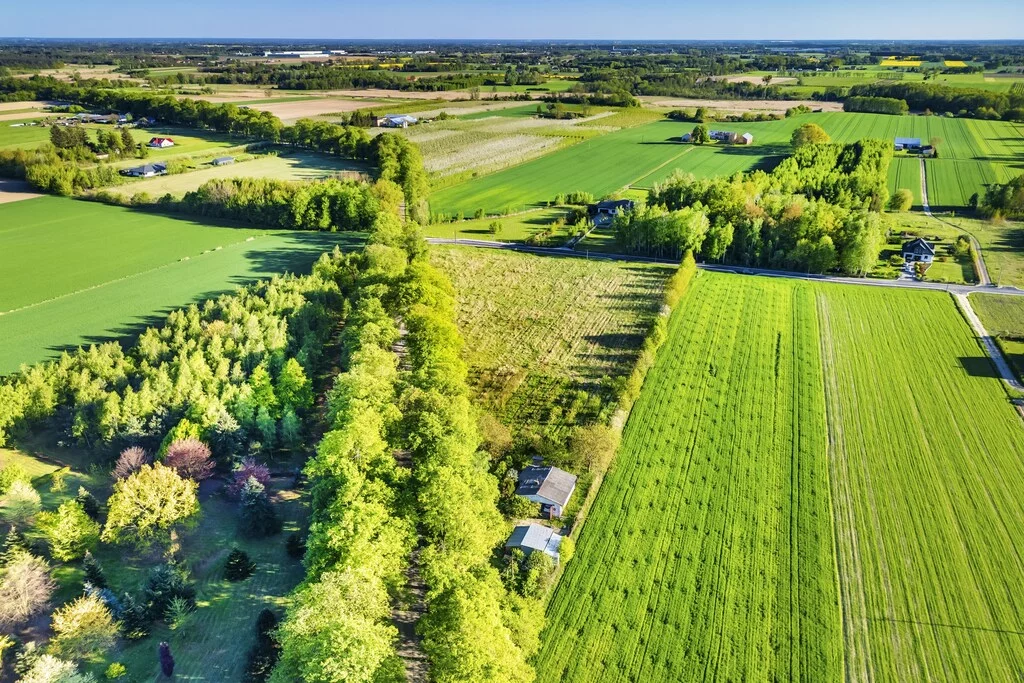 Działka 1 300,00 m², oferta nr , 179/14727/OGS, Pasikonie