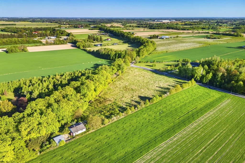 Działka 1 300,00 m², oferta nr , 179/14727/OGS, Pasikonie