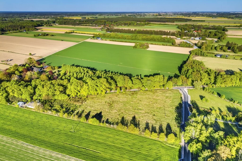 Działka 1 300,00 m², oferta nr , 179/14727/OGS, Pasikonie