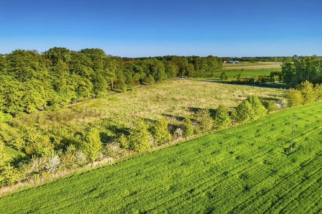 Działka 1 300,00 m², oferta nr , 179/14727/OGS, Pasikonie