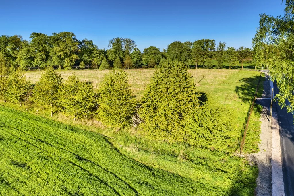 Działka 2 987,00 m², oferta nr , 186/14727/OGS, Pasikonie
