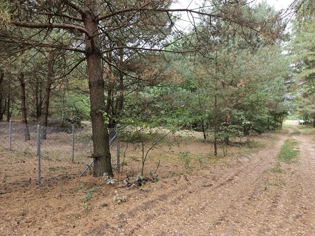 Działka 1 081,00 m², oferta nr , 197/14727/OGS, Sianno