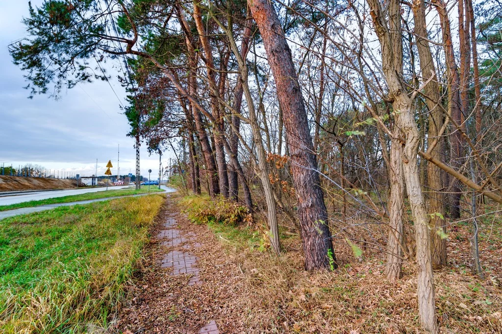 Działka 2 066,00 m², oferta nr , 171/14727/OGS, Czosnów, Warszawska