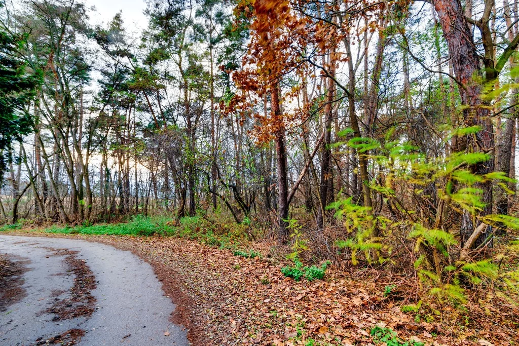 Działka 2 066,00 m², oferta nr , 171/14727/OGS, Czosnów, Warszawska