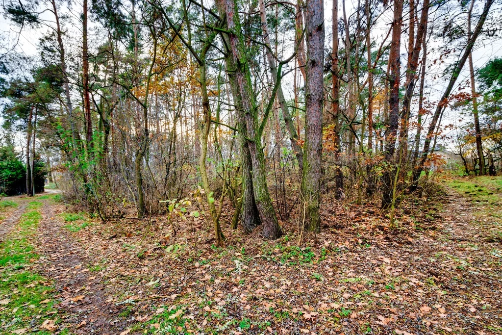 Działka 2 066,00 m², oferta nr , 171/14727/OGS, Czosnów, Warszawska