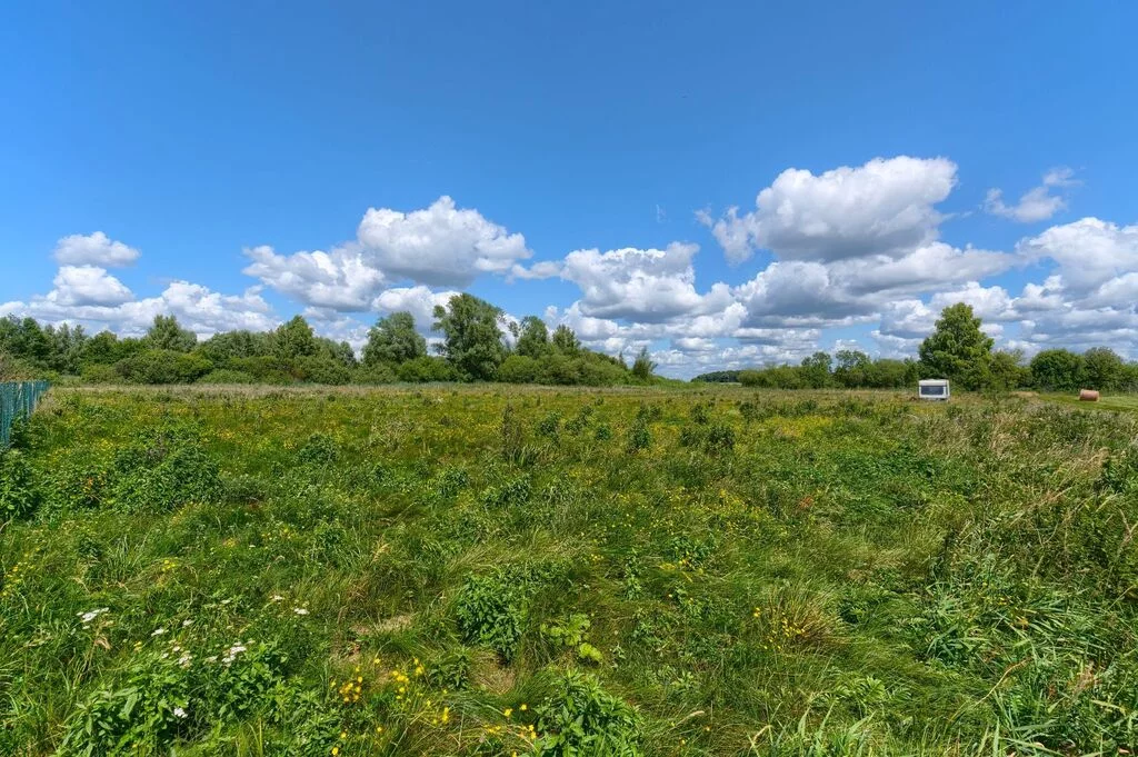 Działka 5 028,00 m², oferta nr , 194/14727/OGS, Zdory
