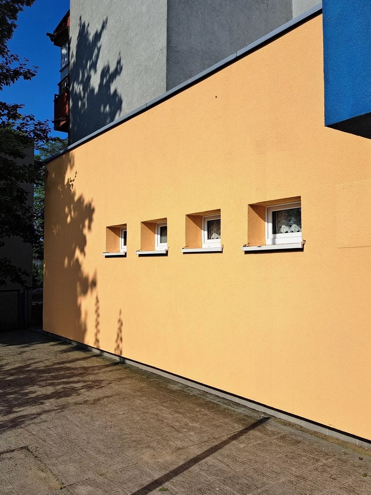 964 - zdjęcie nr 1