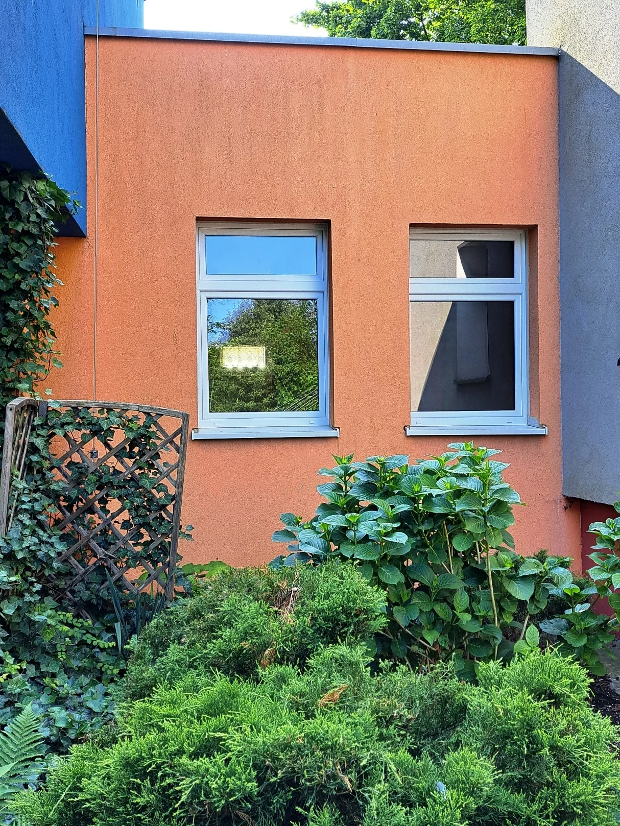 964 - zdjęcie nr 2