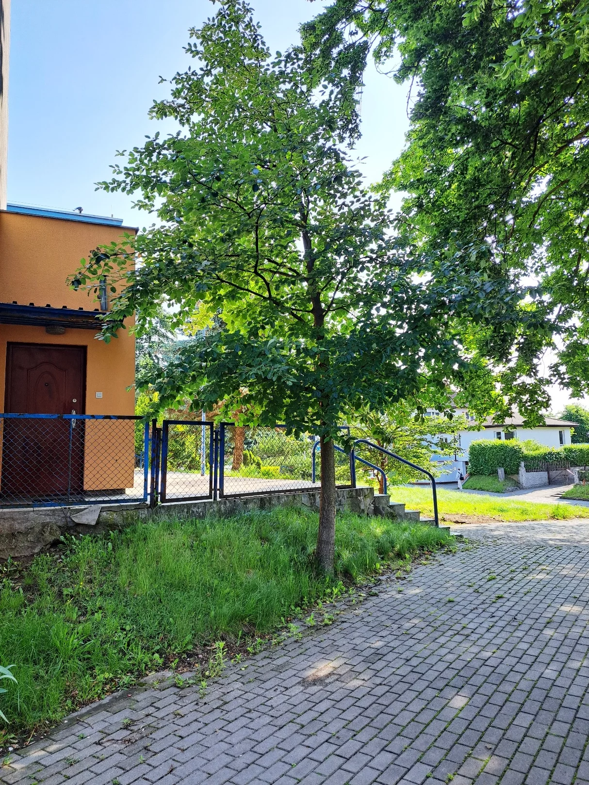 964 - zdjęcie nr 3
