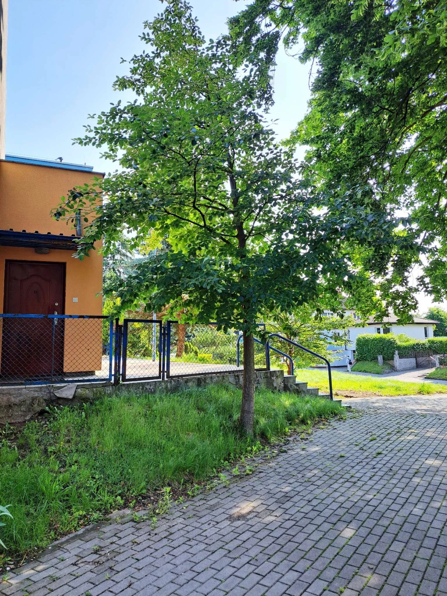 Dom 37,49 m², oferta nr , 973, Chojnice, Kościerska