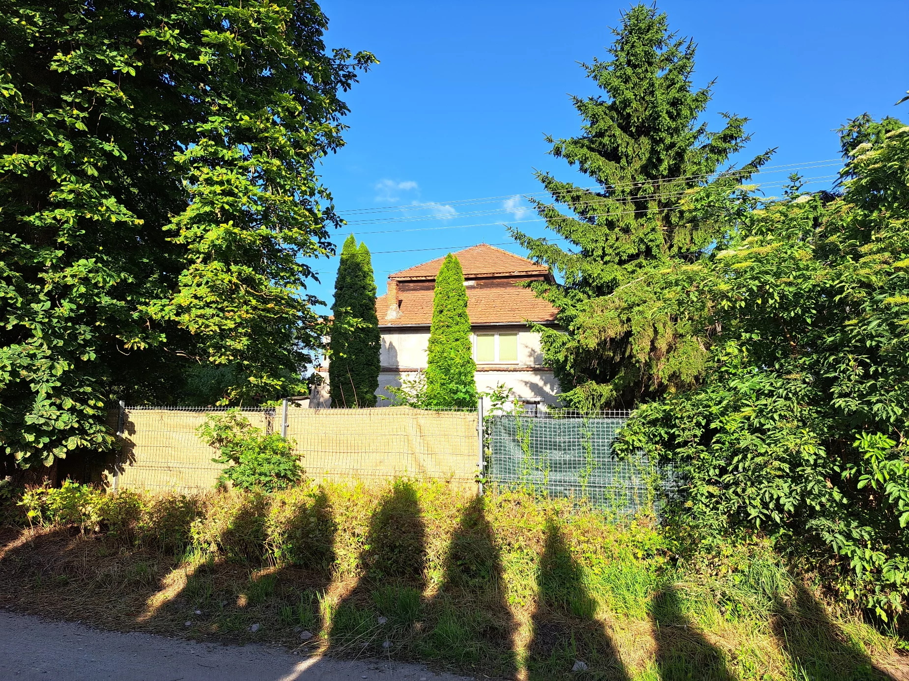 963 - zdjęcie nr 3