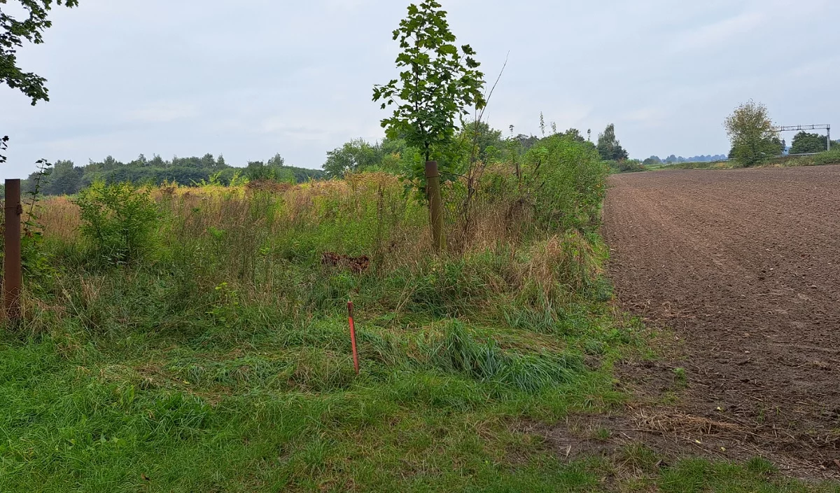 Działka 5 172,00 m², oferta nr , 968, Lwówek, Pniewska