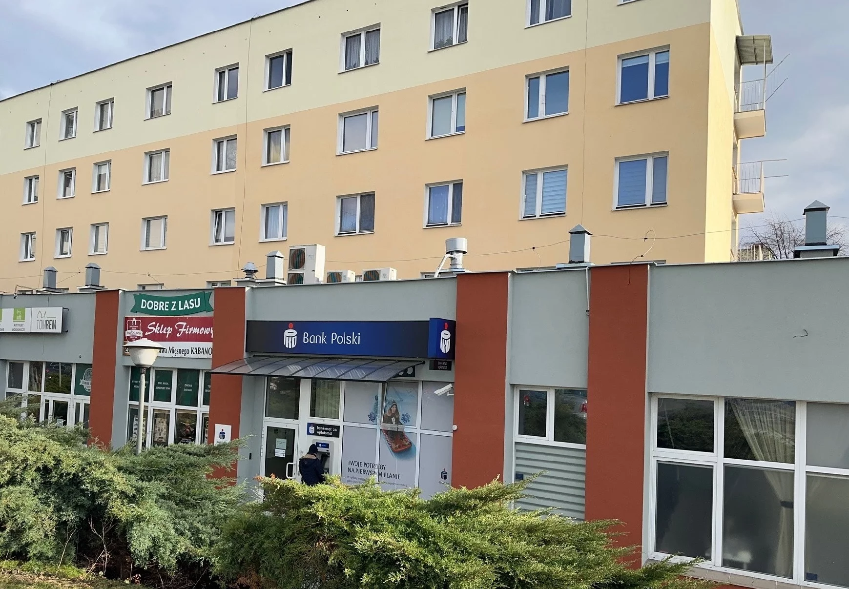 954 - zdjęcie nr 1