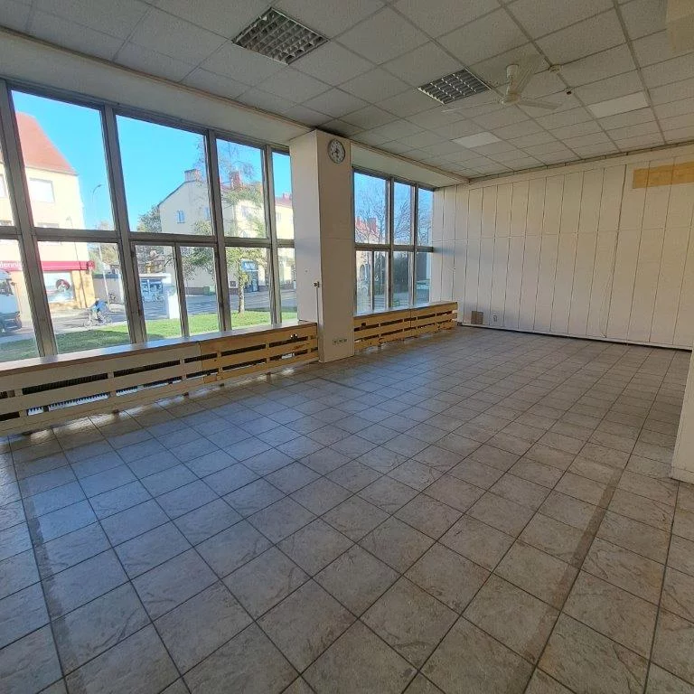 Biuro 265,61 m², oferta nr , 919, Międzyrzecz, Os. Centrum