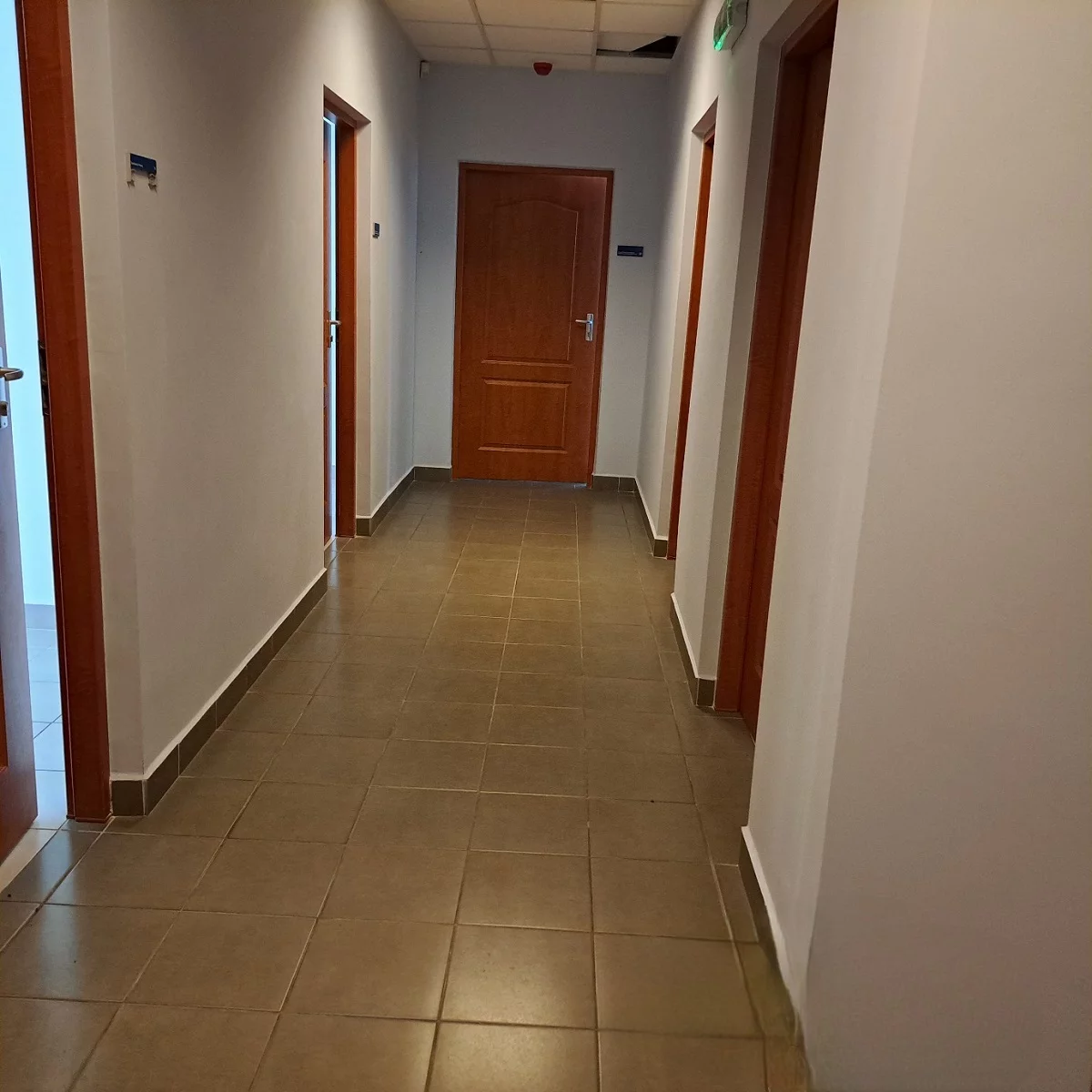 Biuro 181,11 m², oferta nr , 781-1, Puławy, Partyzantów