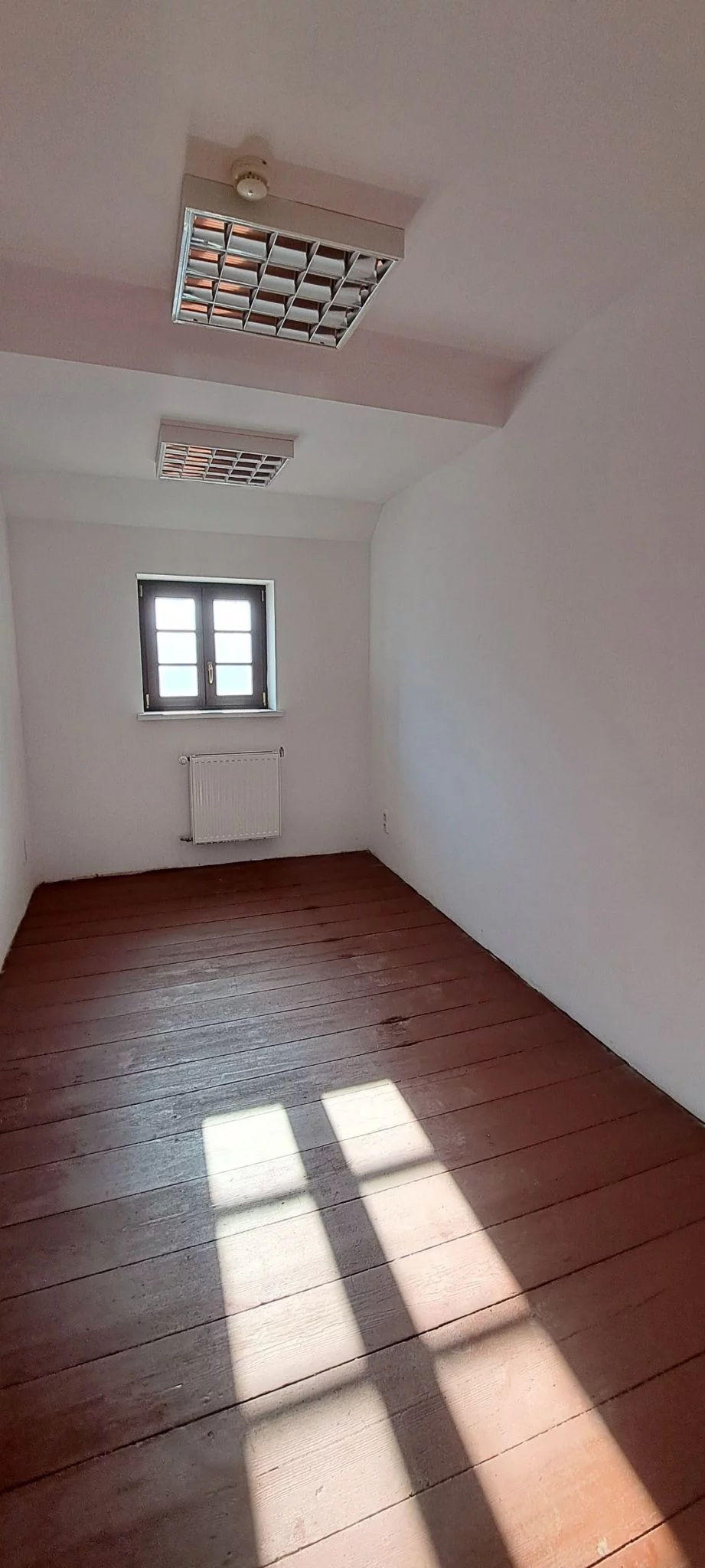 950 - zdjęcie nr 1