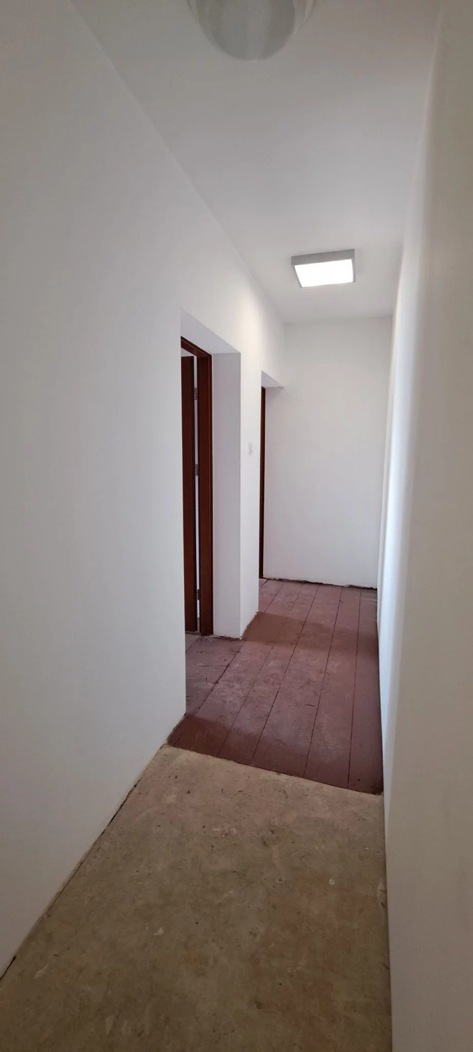 950 - zdjęcie nr 3