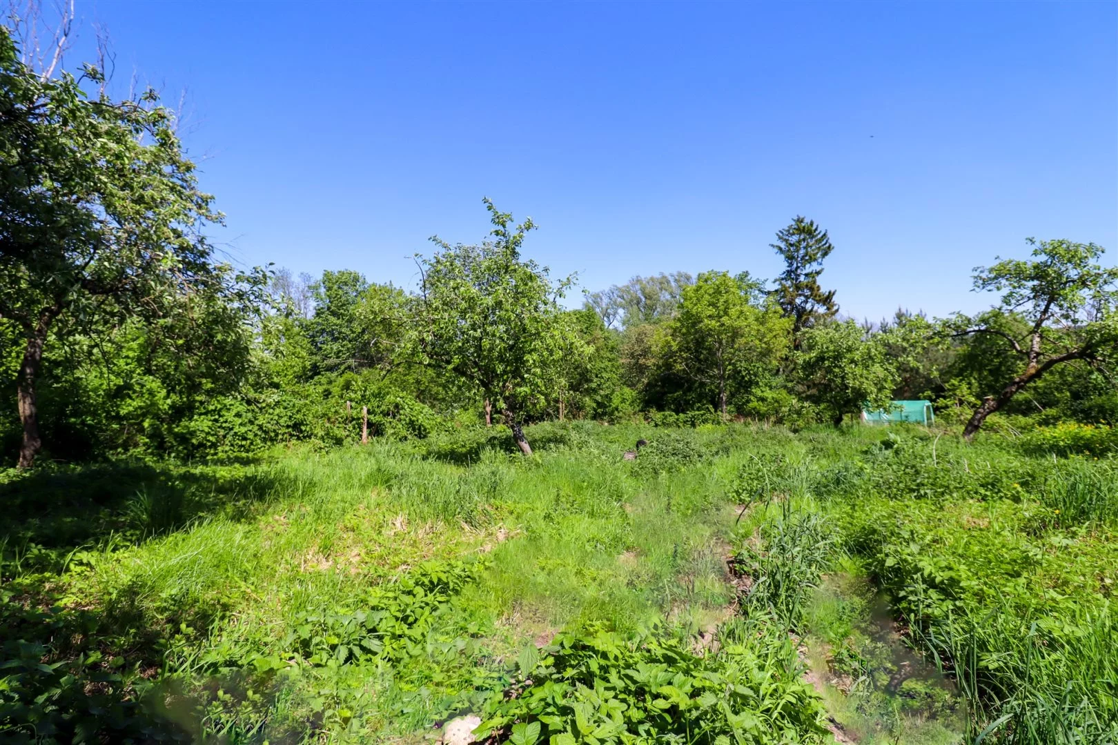 Dom 70,00 m², oferta nr , GRS-DS-2564, Smołdzino, Mickiewicza