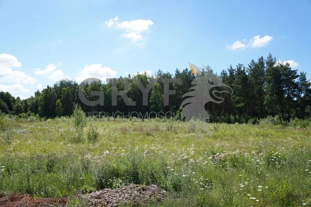 Działka 17 900,00 m², oferta nr , GRS-GS-559, Kobylnica