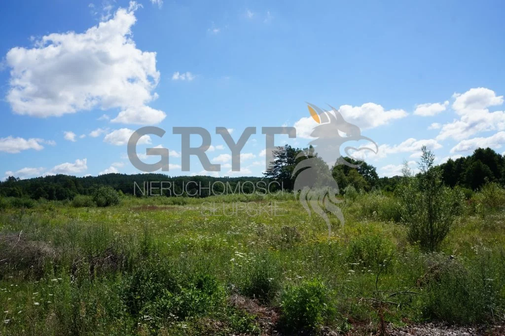 Działka 17 900,00 m², oferta nr , GRS-GS-559, Kobylnica