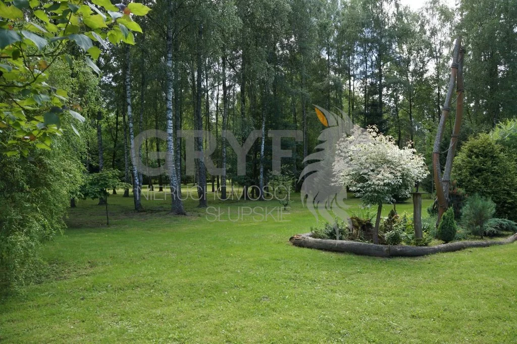 Działka 11 430,00 m², oferta nr , GRS-GS-557, Kobylnica