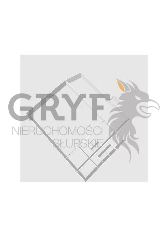 Lokal użytkowy 465,00 m², oferta nr , GRS-LW-313, Słupsk, Nadrzecze