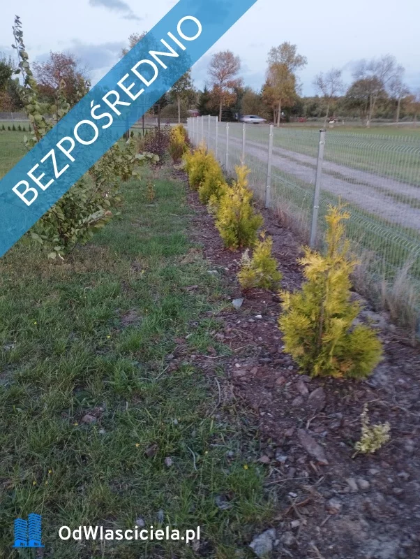 Dom 600,00 m², oferta nr , 12789, Kamionna, PIŁSUDSKIEGO 88