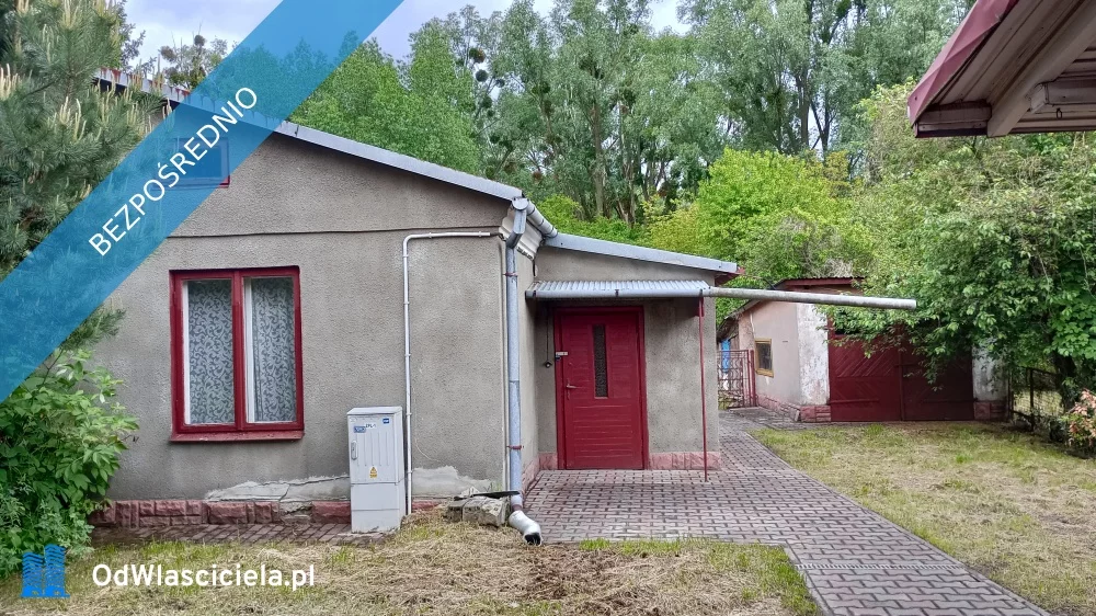 36906 - zdjęcie nr 3