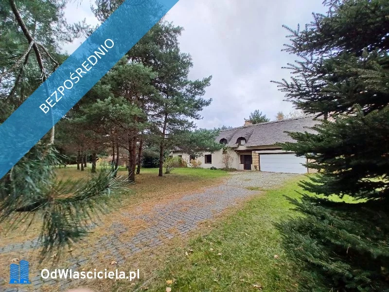 17286 - zdjęcie nr 1