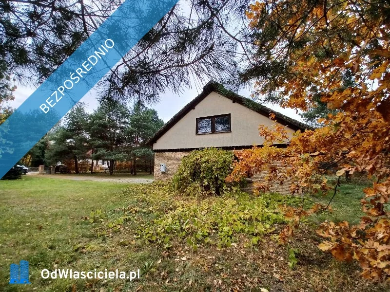 17286 - zdjęcie nr 2