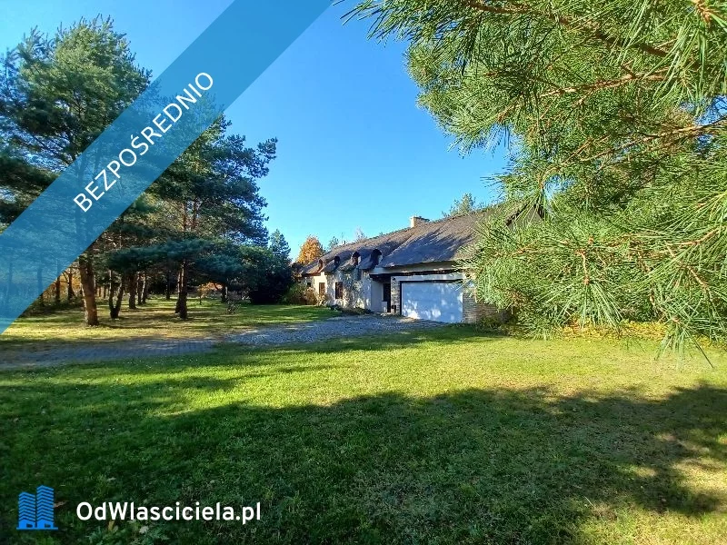 17286 - zdjęcie nr 3