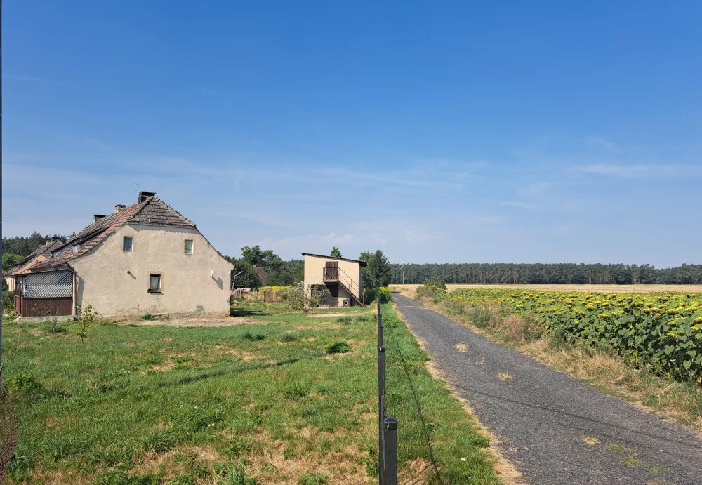 14855 - zdjęcie nr 2