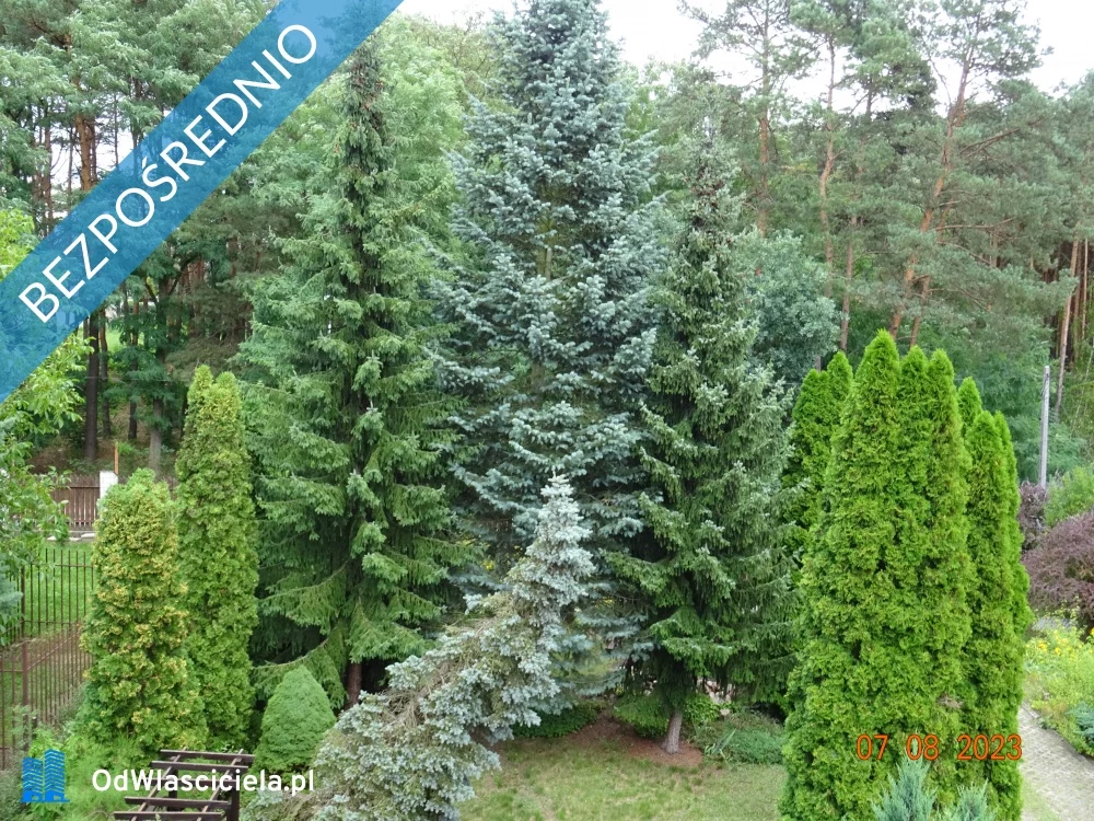 Dom i rezydencja 153,00 m², oferta nr , 21980, Długa Szlachecka, Jana Matejki