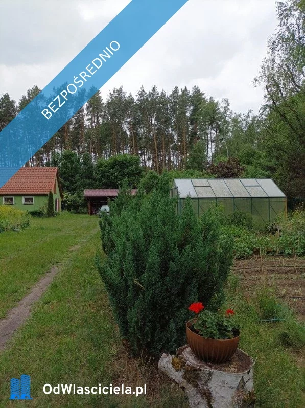36825 - zdjęcie nr 0