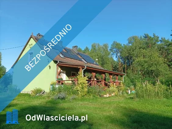 36825 - zdjęcie nr 1