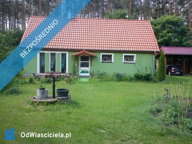 36825 - zdjęcie nr 3