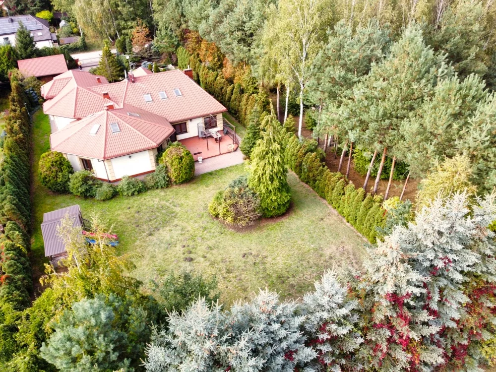 36936 - zdjęcie nr 2