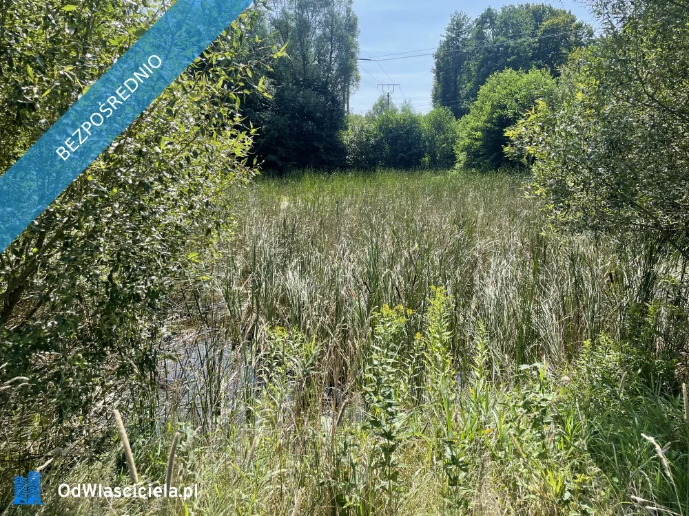 Dom 250,00 m², oferta nr , 36675, Siedlec, Siedlec