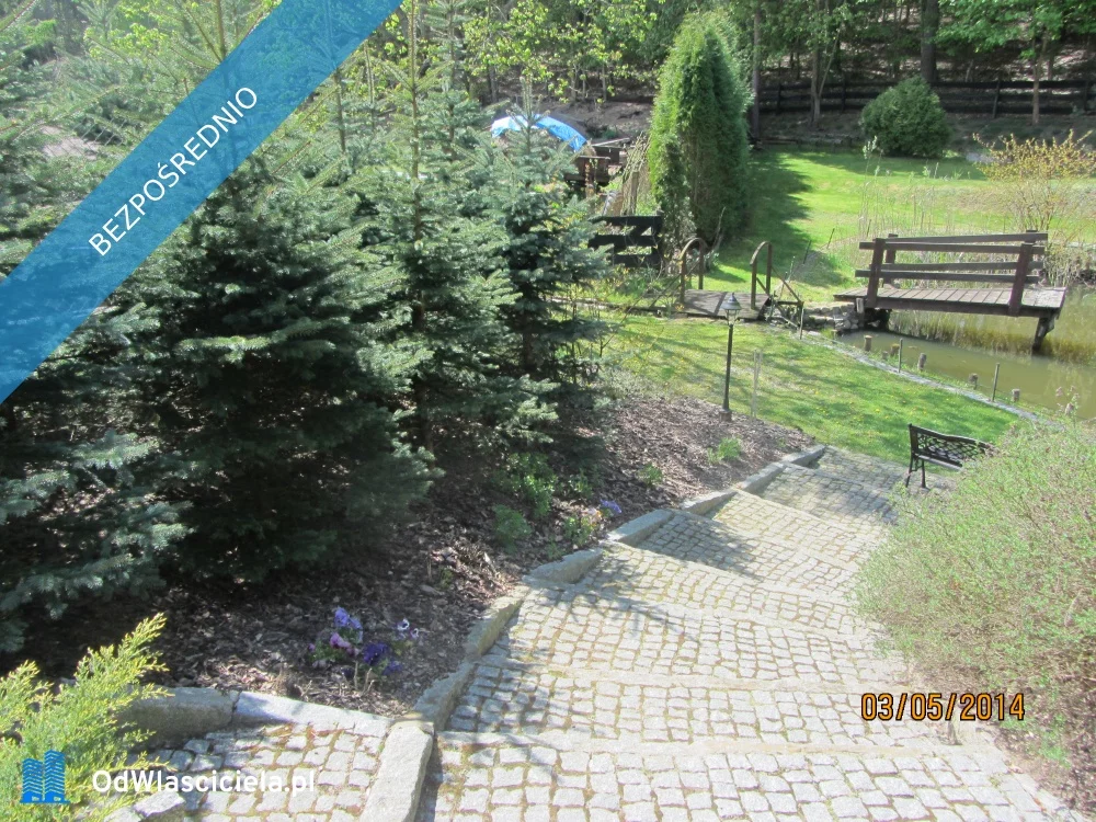 35464 - zdjęcie nr 4